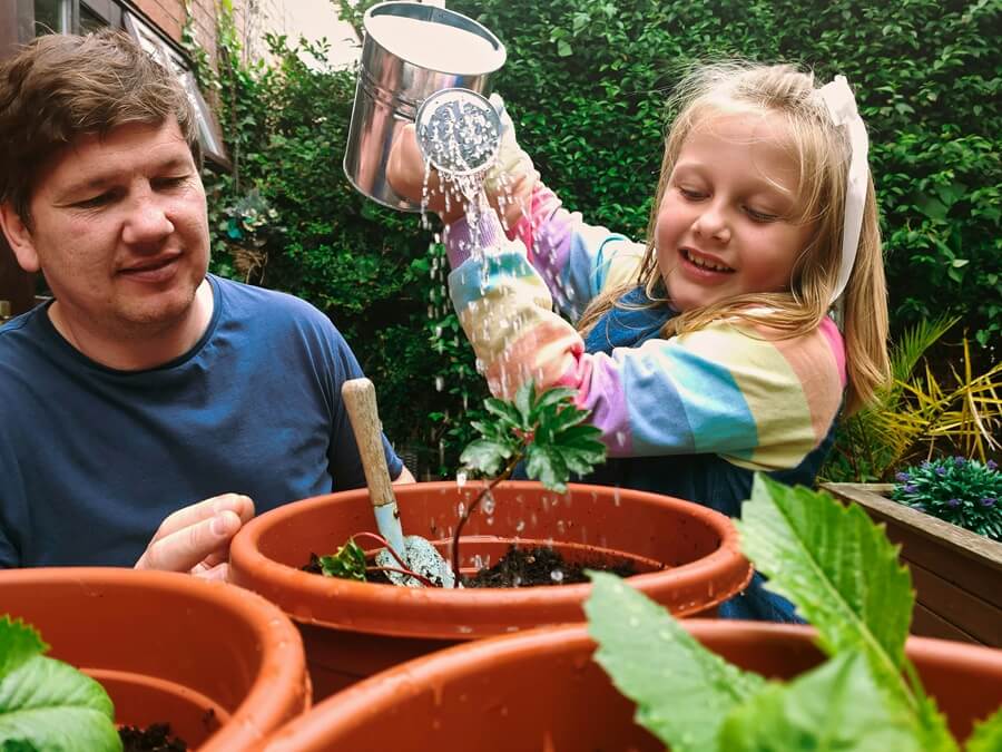 Gartenpflanzen für Anfänger