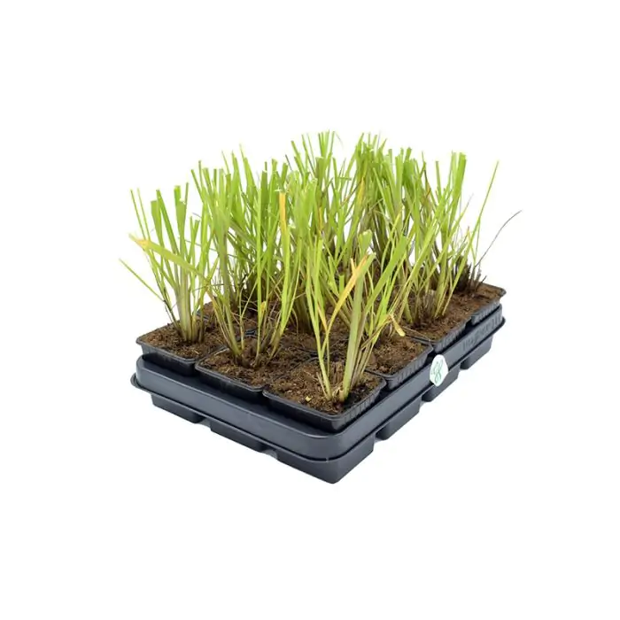 mineralisch düngen BioVegetal organisch-mineralischer Feines Gemüse-Dünger – BioVegetal –  Thüringer Düngermanufaktur main image 0